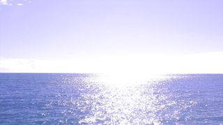 "Nature's Illumination: A Day under the Sun"