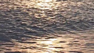 "Solar Splendor: Nature's Glorious Day"