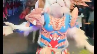 The white lion comes out, causing panic among carnival residents#fyp