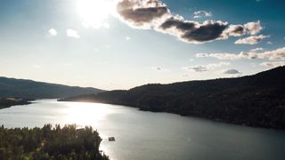 "Sunlight Serendipity: A Day in the Beauty of Nature"