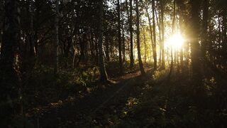 "Sunny Horizons: Embracing the Outdoors"