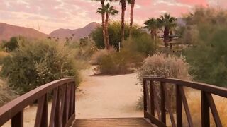 "Sunlit Escapades: A Journey Through the Wilderness"