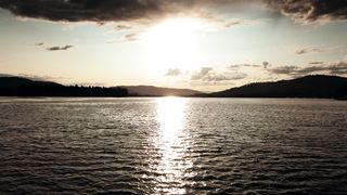 "Nature's Brilliance: Sun-Kissed Moments"
