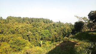 Gunung Malang Tenjolaya