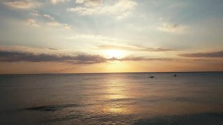 "Sunny Reverie: A Day of Natural Marvels"
