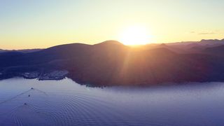 "Radiant Rendezvous: Exploring Nature Under the Sun"