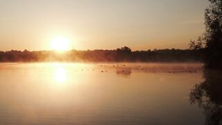 "Solar Elegance: Discovering the Charms of Nature"