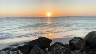 "Sunlit Trails: An Exploration of Natural Beauty"