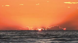 "Solar Bliss: Nature's Elegance in Sunlight"