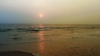 "Golden Horizons: Capturing Nature's Glory"