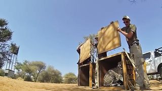 Animals Being FREED For The First Time! 3