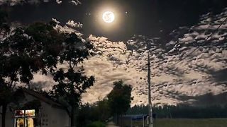 Moonlight in summer