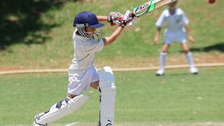 cricket lover 3