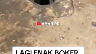 Sial sekali