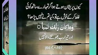 اسلامی معلومات 239