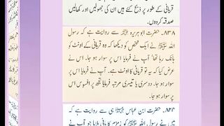 اسلامی معلومات 246