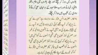 اسلامی معلومات 249