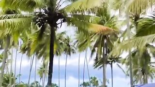 Beachside recreation area