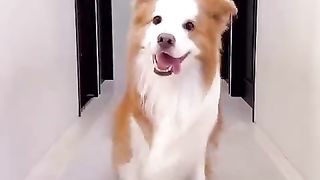Dance dance 4