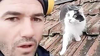 When you manage to speak cat  Sound on ????