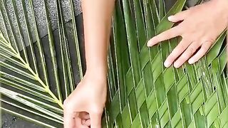 Des astuces pour transformer votre jardin en un lieu tropical magiques