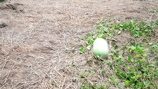 Very Special Trending Comedy Video 2023????Amazing Funniest Fun Video 2023