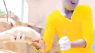 Comédie vidéo 3