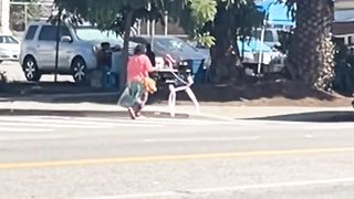 Funny | Canine Stroll: Adventures in Walking the Dog! | FunFM