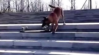 Proper boarder ????????????
