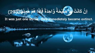 surah yaseen ayat number 29 to 36 translation in english