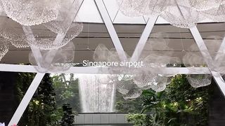 I’d fly to Singapore just to experience this