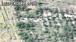 Russia Ukraine War | Heavy Shelling of Ukrainian Position North of Zherebyanki | RCF