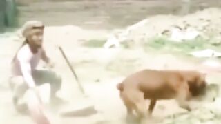 Funny Tik Tok Pakistani Girls Boys Tik Tok Popular Best Actor Video Compliation 6