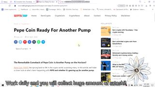 what do you think about PEPE coin?