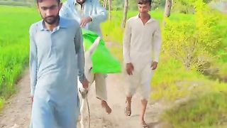 Funny. Comedy videos