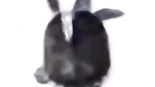 Kulgu bekati 35
