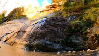 Beautiful Place to Relax | Focus Video | Nature Calming | Beautiful Video | #nature #video