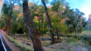 Beautiful Relaxing | Best Nature Scenery | Calming View | #nature #febspot