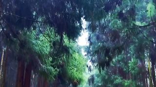 video 239
