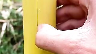 Sugarcane farming 2