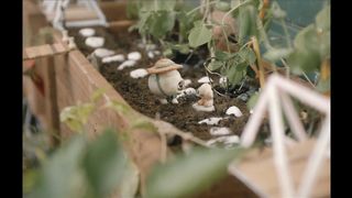 Marcel the Shell with Shoes On (2022) Movie Trailer | Jenny Slate, Dean Fleischer-Camp, Isabella Rossellini