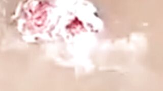 PIRANHA BIKIN KEPALA KERBAU TAK TERSISA