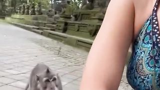 Funny one 3