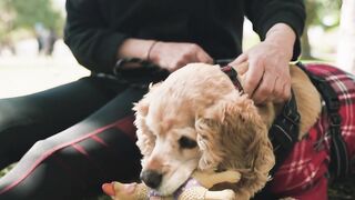 "The Joy of Puppies: Unforgettable Moments"