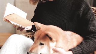 "Tiny Tails and Big Smiles: Puppy Love"