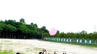 Beautiful Dogs Playing and Enjoying | Dogs Video | Cute Nature | Soothing | #nature #febspot