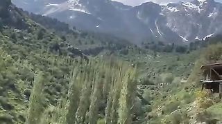 KVN команды борцы