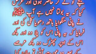 Mojzat e Nabi | Miracle Of Prophet Muhammad |  Quotes