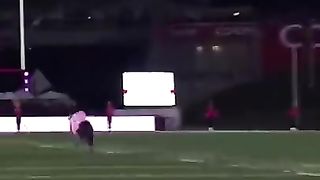 World record for longest catch at a sporting event and it’s by a dog! (via @Frisbee Rob)