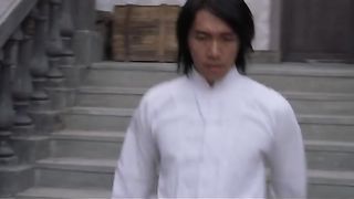 super hit chines movie fight seen